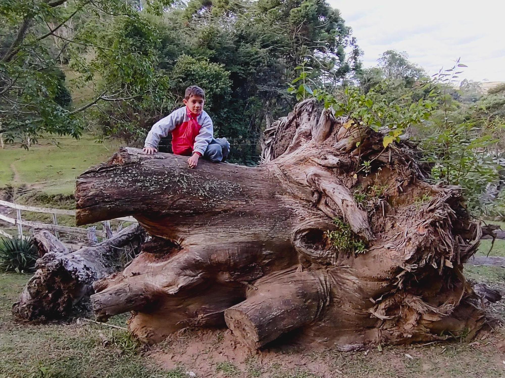 Chales Vinhas Da Harmonia L Pousada Em Cunha Sp Exterior photo